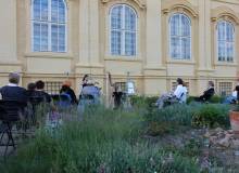 IMG_4541_original