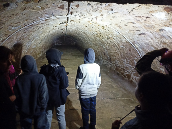 Exkurze do hlubin &scaron;tolov&eacute;ho syst&eacute;mu